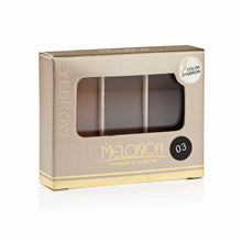 Load image into Gallery viewer, Meloision Fashion Waterproof Long Lasting Eyebrow Powder